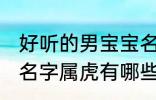 好听的男宝宝名字属虎 好听的男宝宝名字属虎有哪些