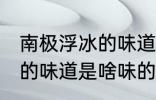 南极浮冰的味道是什么味的 南极浮冰的味道是啥味的