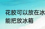 花胶可以放在冰箱冷藏室里吗 花胶不能把放冰箱