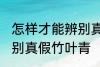 怎样才能辨别真假竹叶青 如何才能辨别真假竹叶青