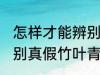 怎样才能辨别真假竹叶青 如何才能辨别真假竹叶青