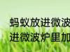 蚂蚁放进微波炉里加热会死吗 蚂蚁放进微波炉里加热会不会死