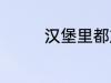 汉堡里都放什么 汉堡材料