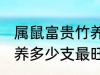 属鼠富贵竹养几支最旺运 属鼠富贵竹养多少支最旺运