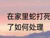 在家里蛇打死了怎么办 在家里蛇打死了如何处理