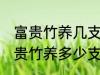 富贵竹养几支最旺运办公室 办公室富贵竹养多少支最旺运