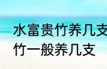 水富贵竹养几支最旺事业运 水养富贵竹一般养几支