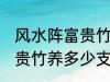 风水阵富贵竹养几支最旺运 风水阵富贵竹养多少支最旺运