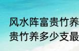 风水阵富贵竹养几支最旺运 风水阵富贵竹养多少支最旺运