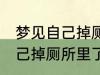 梦见自己掉厕所里了怎么回事 梦见自己掉厕所里了预兆什么