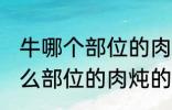 牛哪个部位的肉炖的牛肉汤好喝 牛什么部位的肉炖的牛肉汤好喝