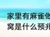 家里有麻雀做窝好不好 家里有麻雀做窝是什么预兆