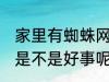 家里有蜘蛛网好事坏事 家里有蜘蛛网是不是好事呢