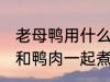 老母鸭用什么煲汤最好 哪些食物可以和鸭肉一起煮汤