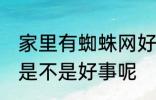 家里有蜘蛛网好事坏事 家里有蜘蛛网是不是好事呢