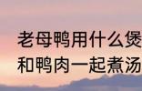 老母鸭用什么煲汤最好 哪些食物可以和鸭肉一起煮汤