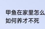 甲鱼在家里怎么养才不死 甲鱼在家里如何养才不死