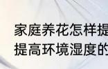 家庭养花怎样提高环境湿度 家庭养花提高环境湿度的技巧